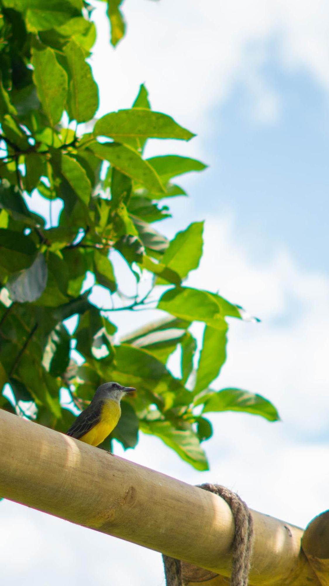 Cannatel Exclusive Hotel El Socorro エクステリア 写真